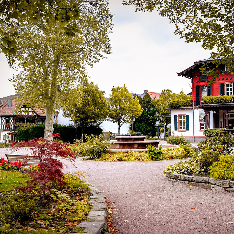 Koenigstein Park